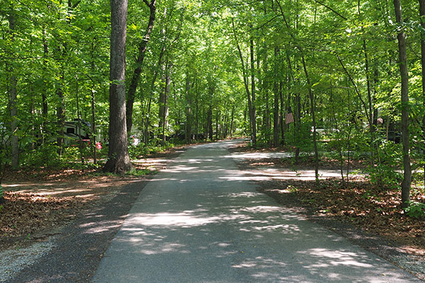 A peaceful roadway at Ramblin' Pines Campground